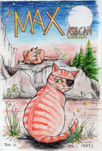 The Max ash-can
                comic